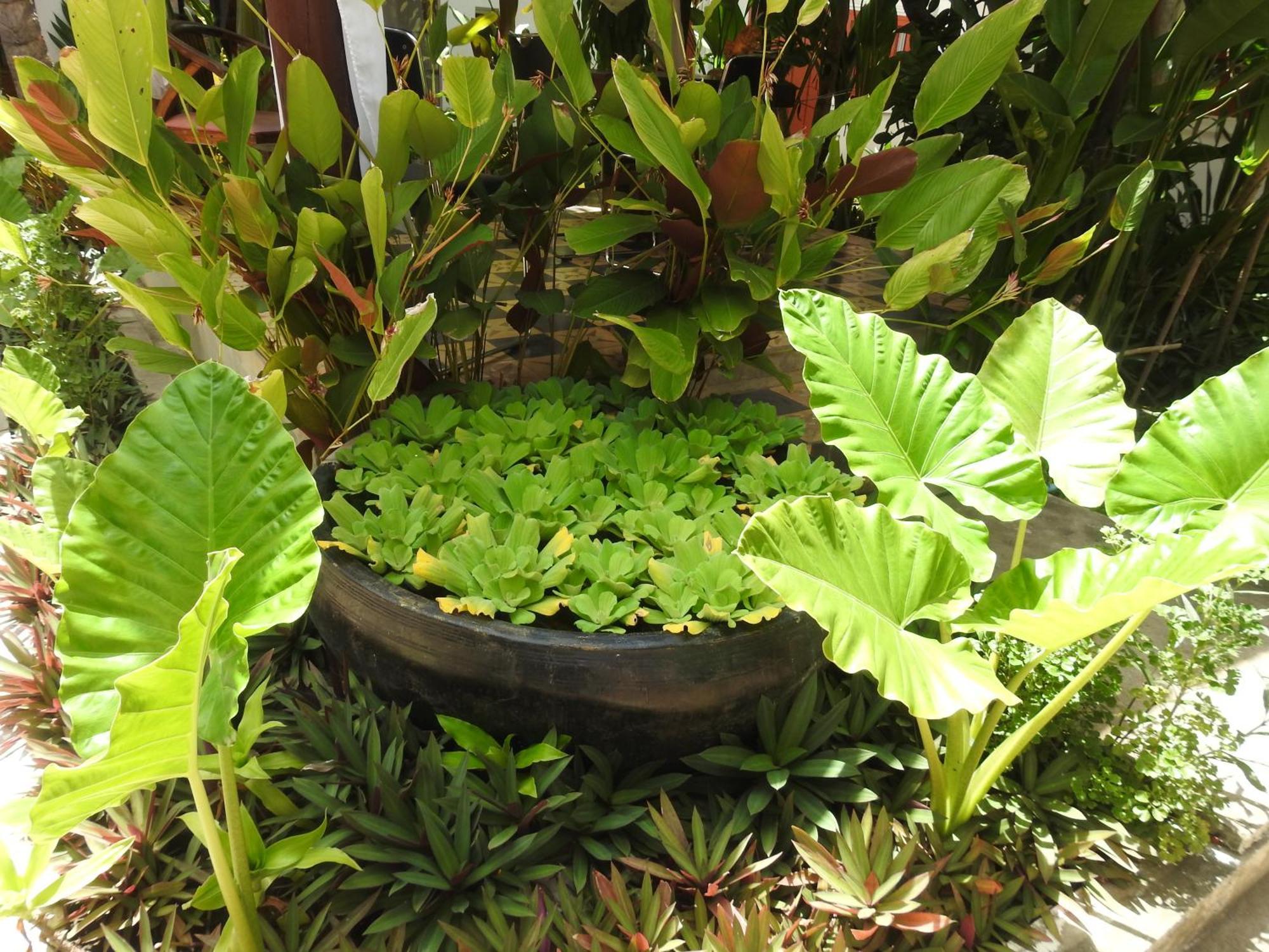 Villa Wat Damnak Siem Reap Esterno foto